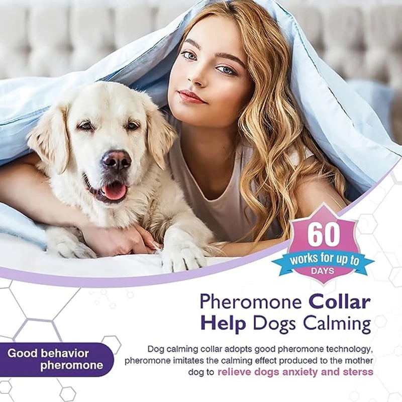 Collares de feromonas calmantes para perros